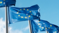 EU 'sờ gáy' 10 công dân Syria bị cáo buộc dính líu xung đột ở Ukraine