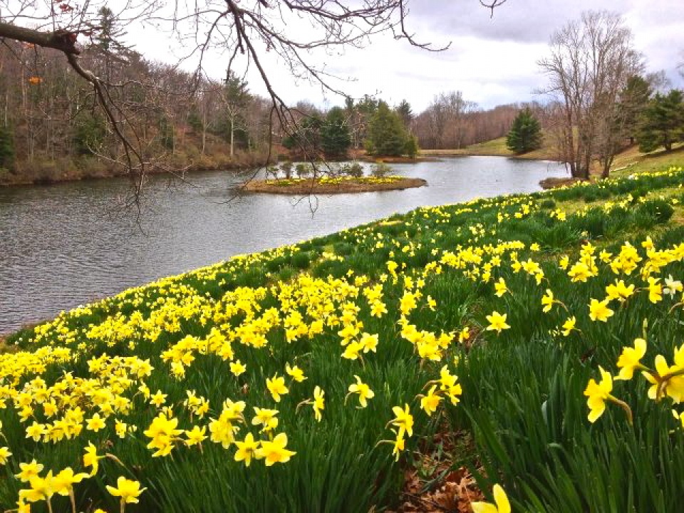 Nhớ lại một bài thơ Anh nho lai mot bai tho anh