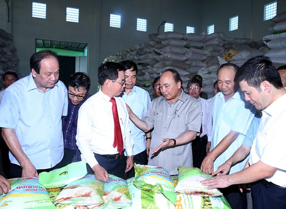 Nông nghiệp công nghệ cao hấp dẫn nhiều nhà đầu tư Việt nong nghiep cong nghe cao hap dan nhieu nha dau tu viet