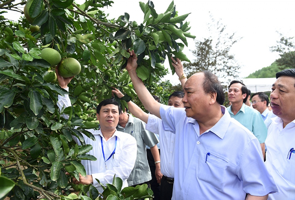 thuc hien ben vung xay dung nong thon moi