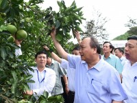 thu tuong kien quyet khong danh doi moi truong vi loi ich truoc mat