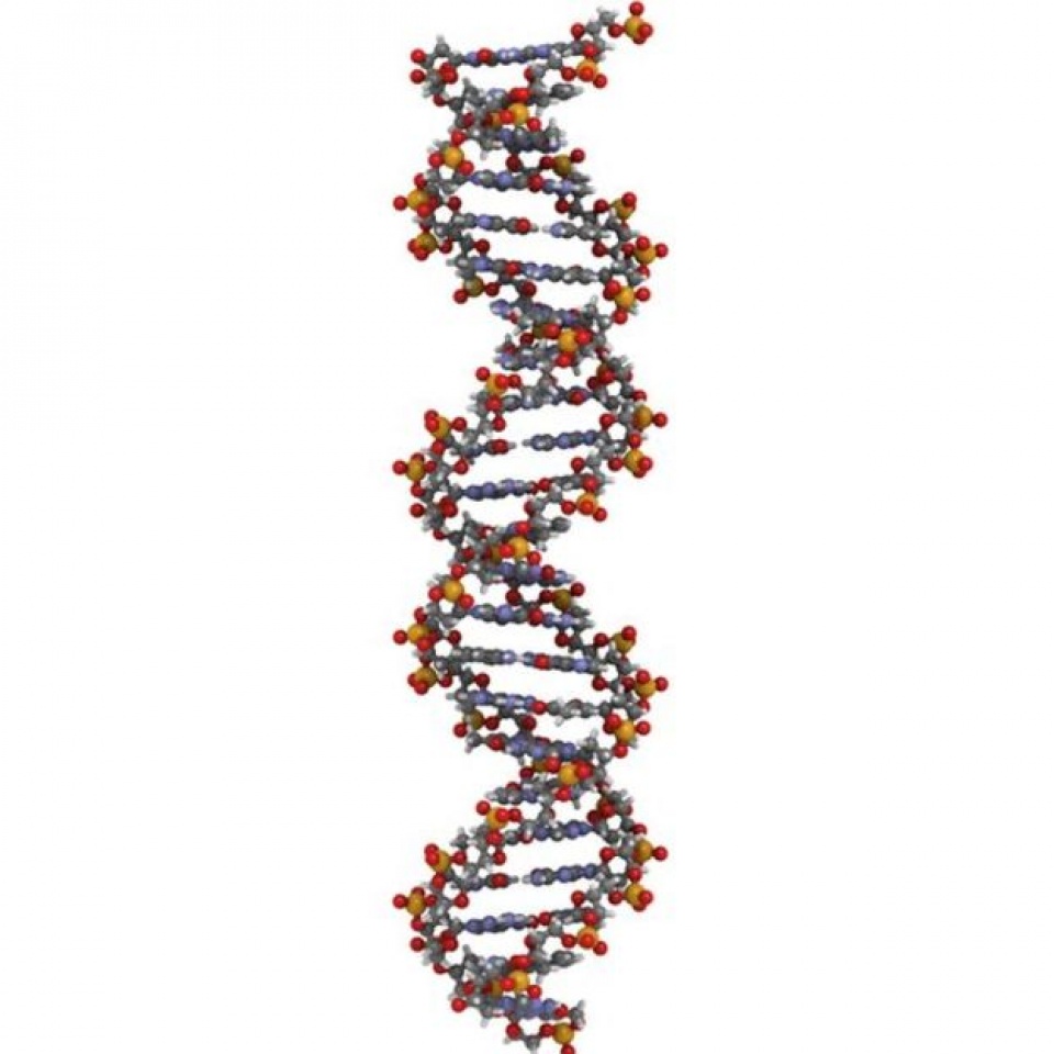 nam 2016 cac cong ty thong minh dau tu vao dau
