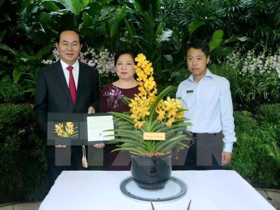 chu tich nuoc tran dai quang hoi dam voi cac nha lanh dao singapore