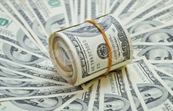 Tỷ giá USD hôm nay 7/8: Đồng bạc xanh phục hồi nhẹ sau phiên 'tơi tả', 1 năm nữa cũng chưa thể thăng hoa