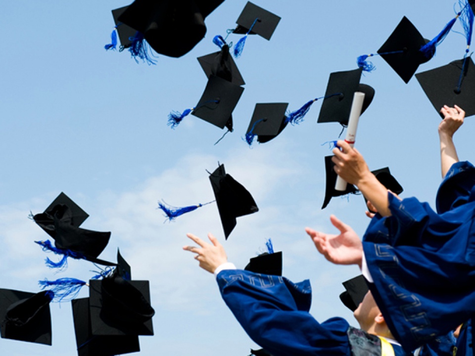 lao dong viet van mo mam trong aec