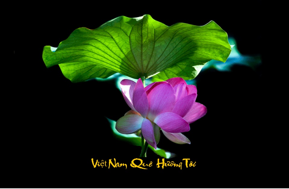 phat dong cuoc thi viet ve viet nam trong trai tim toi tai moscow