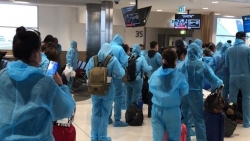 Thêm 280 công dân Việt Nam từ Australia về nước, hạ cánh xuống Cần Thơ