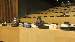 Hội đồng Bảo an họp ngày 15/9: Việt Nam kêu gọi các bên ở Yemen chấm dứt giao tranh, nối lại đàm phán