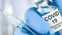 Covid-19: Mỹ có thể có vaccine trong vòng 1 tháng nữa, AstraZeneca nối lại thử nghiệm ở các nước