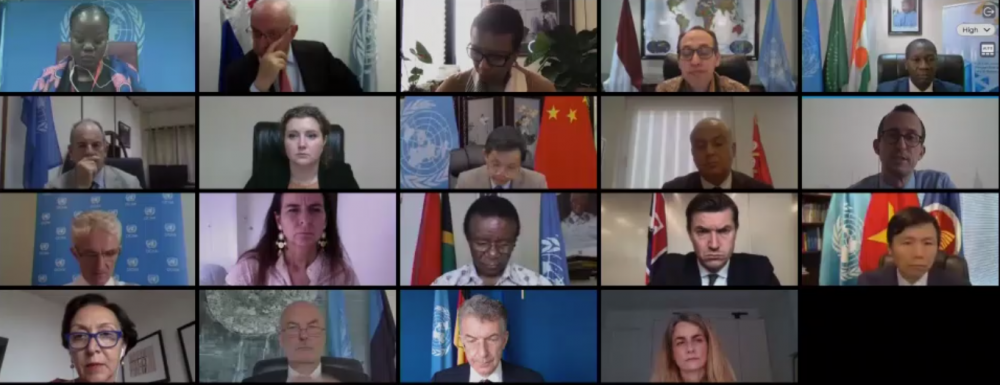 hoi-dong-bao-an-hop-ngay-169-viet-nam-danh-gia-cao-nhung-dien-bien-tich-cuc-o-nam-sudan-thoi-gian-qua-1