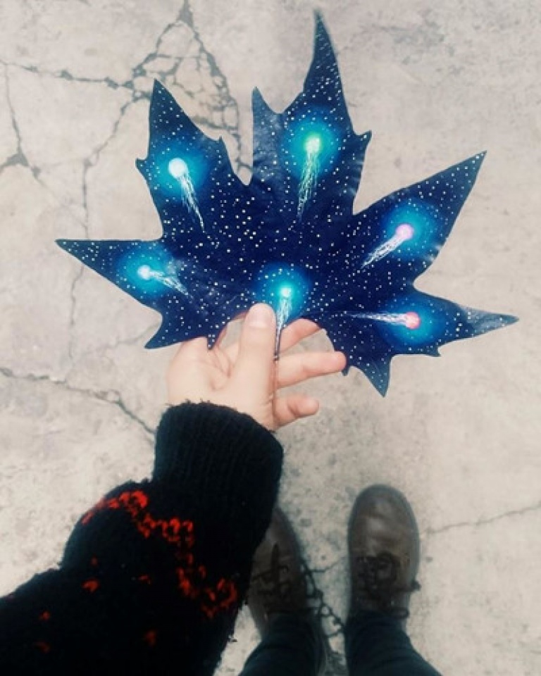 Những chiếc lá ấn tượng nhung chiec la an tuong