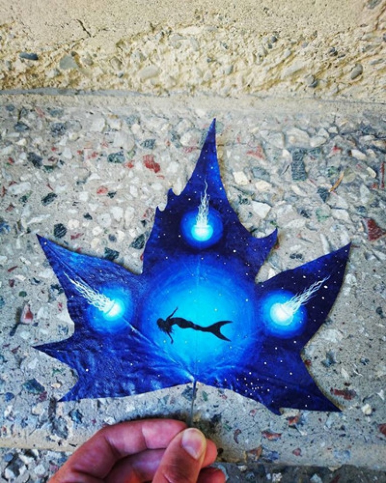 Những chiếc lá ấn tượng nhung chiec la an tuong