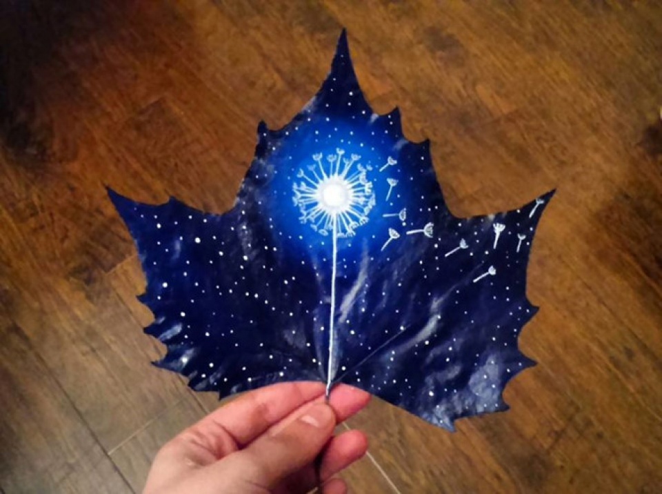 Những chiếc lá ấn tượng nhung chiec la an tuong