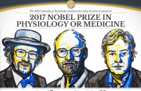 Nobel Y học 2017: Khám phá cơ chế kiểm soát nhịp sinh học