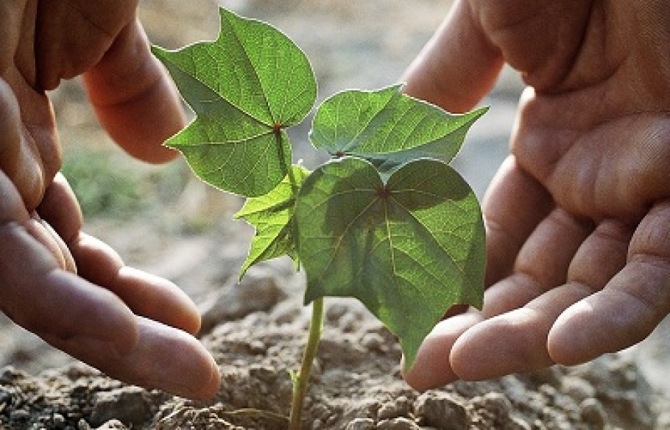 san xuat thanh cong dat nhan tao