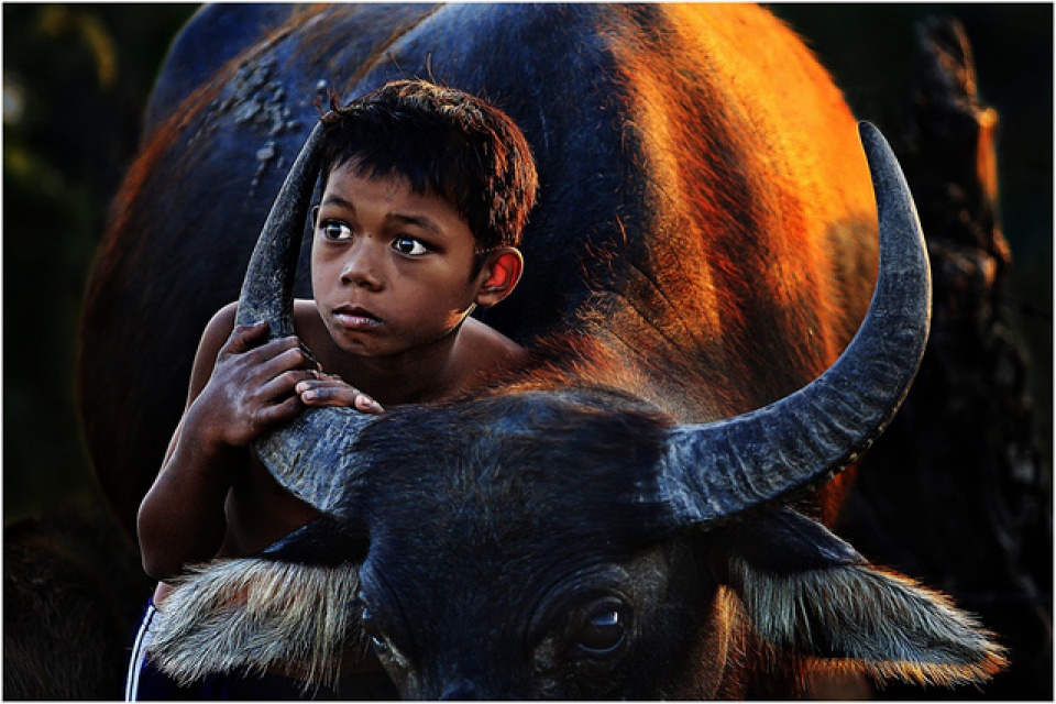 khai mac festival nhiep anh tre nam 2017