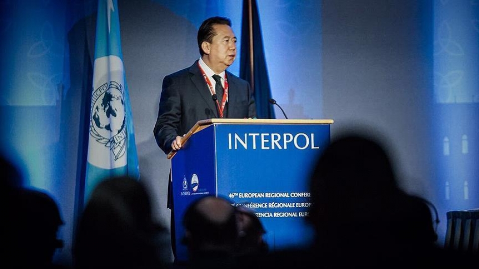interpol chu tich manh hoanh vi tu chuc