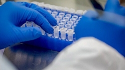 Vaccine Covid-19: Cuba đạt tiến bộ, Anh tính huy động quân đội phân phối theo ưu tiên đối tượng