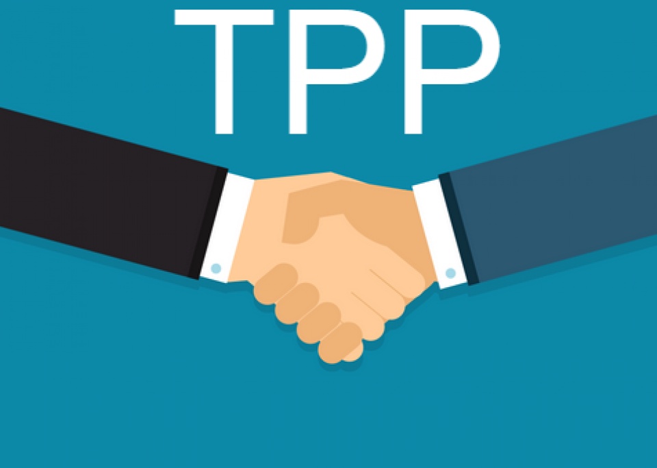 buoc tien moi cua tpp 11