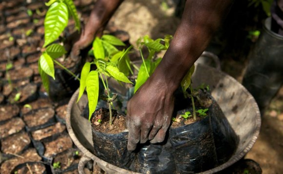 nong nghiep co the khong che ngay luong khi thai gay hieu ung nha kinh