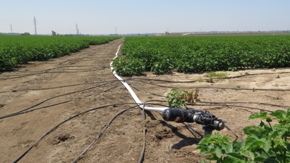 hoc vien viet nam tham gia khoa hoc thac sy nong nghiep tai israel