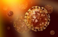 phat hien thu vi ve loi ich cua tao doi voi suc khoe