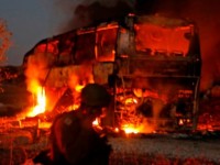 thong diep hoa binh tu lien hoan phim tai gaza