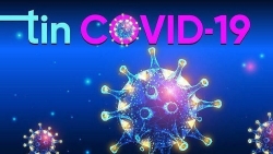 Cập nhật Covid-19 ngày 2/11: Số ca nhiễm ở châu Âu tăng gấp đôi sau 5 tuần, Tổng Giám đốc WHO phải cách ly