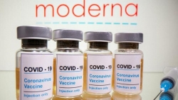 Vaccine Covid-19: WHO cảnh báo các nước không tự mãn, 'lộ' giá vaccine Moderna