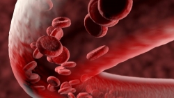 Israel phát hiện 5 thủ phạm gây 'tội ác' ở bệnh nhân mắc Covid-19