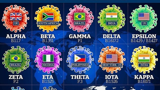 covid19 who cong bo nguon lay chinh phat hien bien the moi co so luong dot bien cuc cao