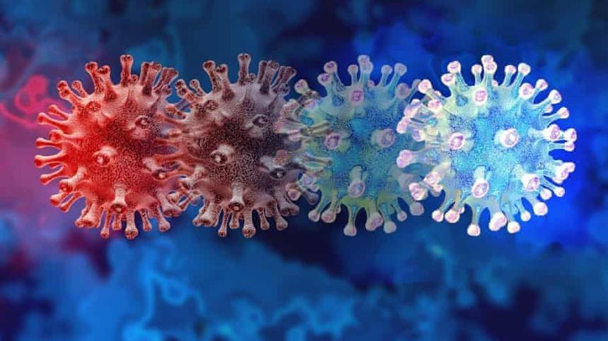 covid19 xuat hien bien the moi dang bao dong who hop khan