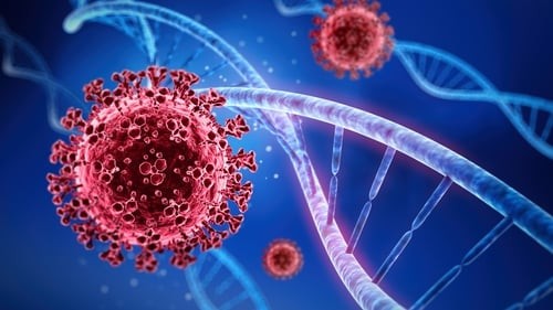 Covid-19: Biến thể mới xâm nhập Israel; các nước khẩn cấp ứng phó biến thể nguy hiểm, siết chặt nhập cảnh. (Nguồn: RTE) Covid-19: Biến thể mới xâm nhập Israel; các nước khẩn cấp ứng phó biến thể nguy hiểm, siết chặt nhập cảnh. (Nguồn: RTE)