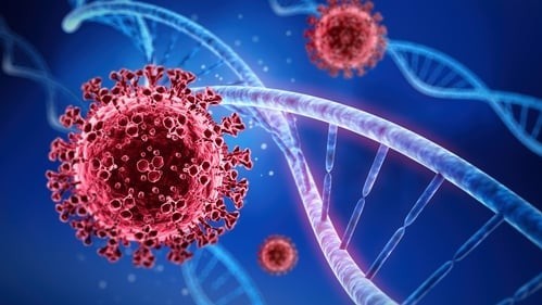 covid19 bien the moi xam nhap israel cac nuoc khan cap ung pho bien the nguy hiem siet chat nhap canh