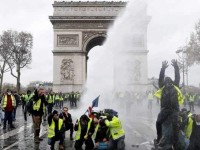 con loc mau vang truoc them 2019