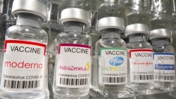 Covid-19: EU chính thức khuyến nghị tiêm kết hợp vaccine, Italy đồng ý tiêm cho trẻ 5-11 tuổi