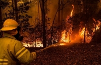 Tập trung xử lý cháy rừng, Thủ tướng Australia hủy chuyến thăm Ấn Độ