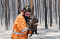 Thảm họa cháy rừng Australia: Điều tồi tệ nhất còn chưa đến