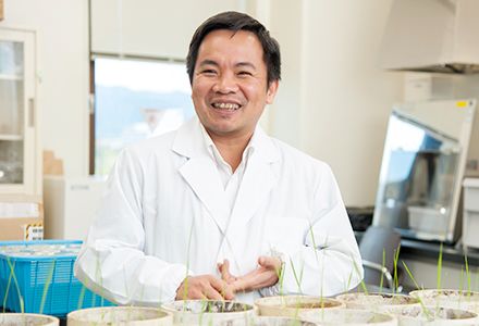 PGS. Trần Đăng Xuân - Nhà khoa học Việt Nam tại Nhật Bản phát hiện tiềm năng của cỏ lau xâm lấn trong chăm sóc sức khỏe