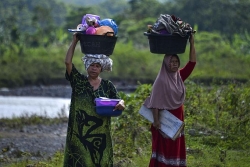 Indonesia: Đại dịch Covid-19 làm trầm trọng tỷ lệ người nghèo