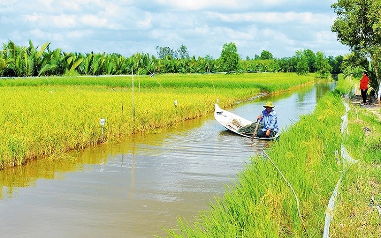 Khi người dân chung tay bảo vệ biển, đảo