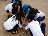 nghe si viet canh bao thai do tho o voi van nan o nhiem