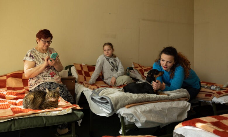 Một gia đình tị nạn người Ukraine ở Zabki, Ba Lan. (Nguồn: NY Times)