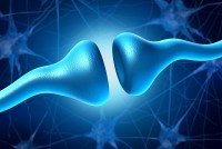 Thờ ơ - triệu chứng đầu tiên của bệnh Alzheimer