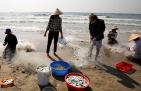 infographics viet nam lot top diem den hang dau sau dich covid 19