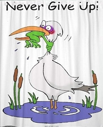 Đừng bao giờ từ bỏ giấc mơ!