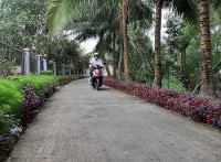 Cầu Ngang - Miệt biển đang đổi thay