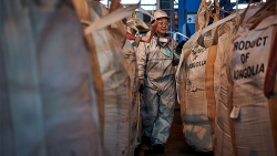 Làm thế nào nữ giới có thể hưởng lợi từ thương mại bình đẳng với nam giới?