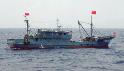 Nhật Bản đã trục xuất bao nhiêu tàu cá Trung Quốc trong năm nay?
