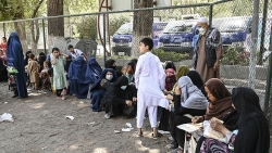 'Gật đầu' với Kabul, Thụy Sỹ dừng trục xuất người tị nạn Afghanistan